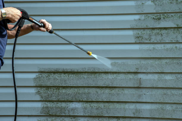 Best Roof Washing  in Pimlico, SC